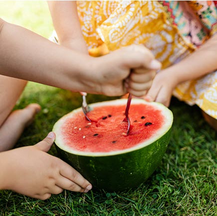 Watermelon 435x435.jpg